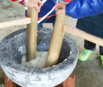 �������̎ʐ^