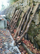 �ő��͔|�̎ʐ^